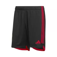 2022 Belgium World Cup Home Soccer Shorts - view 1