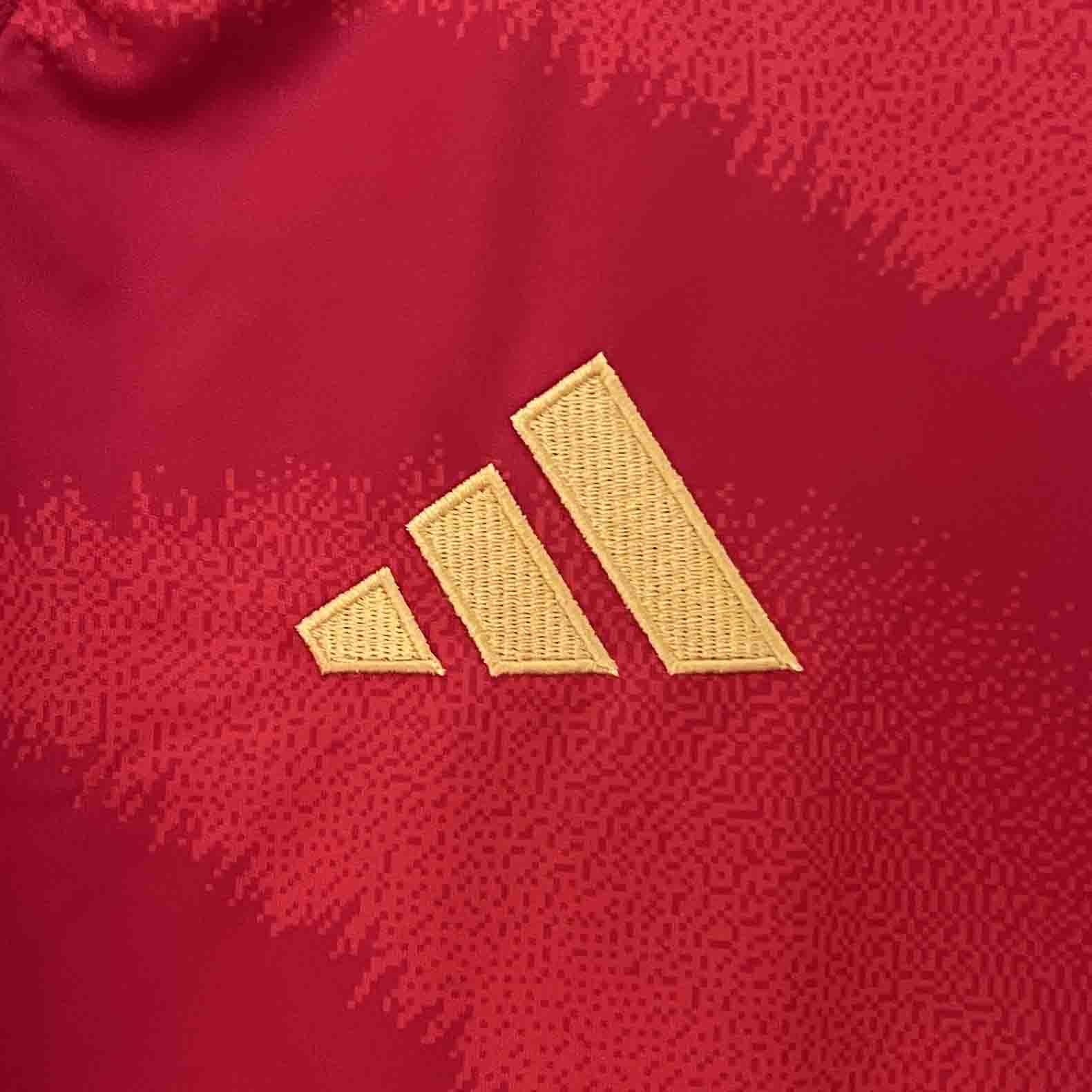 2024 Spain Euro Cup Home Football Jersey - view 7