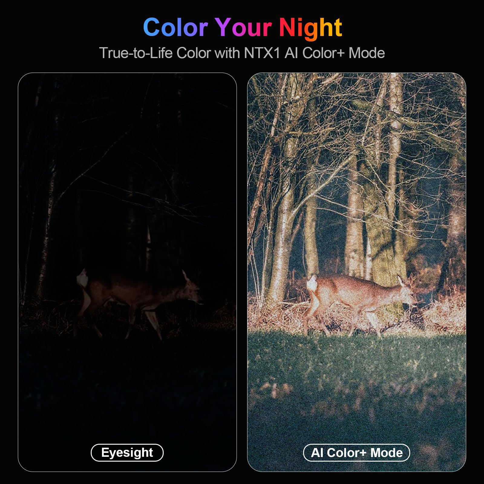 DS371 WIFI Infrared Digital Telescope Video Camcorder 4K 52MP UHD Night Vision Binoculars Camera for Hunting with AI Color